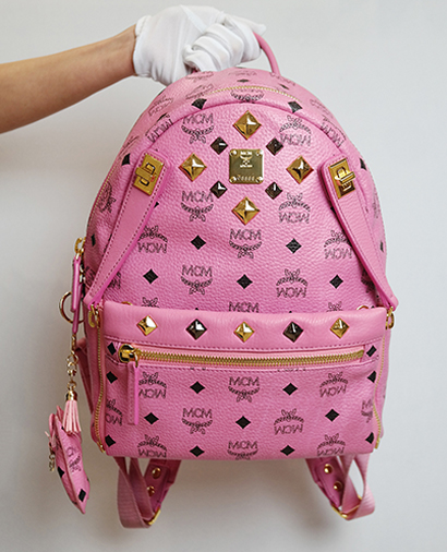Dual Stark  Backpack, front view